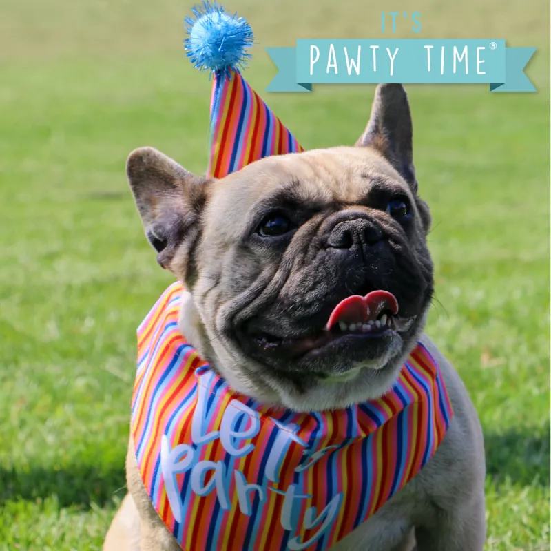 Ancol Party Hat and Bandana-1